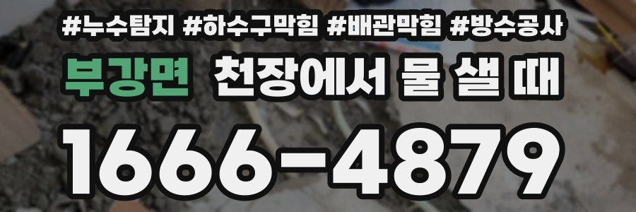 부강면 천장에서 물 샐 때
