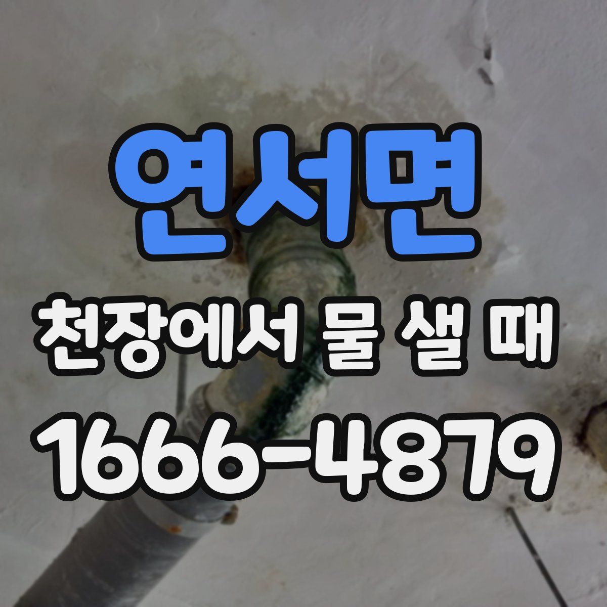 연서면 천장에서 물 샐 때