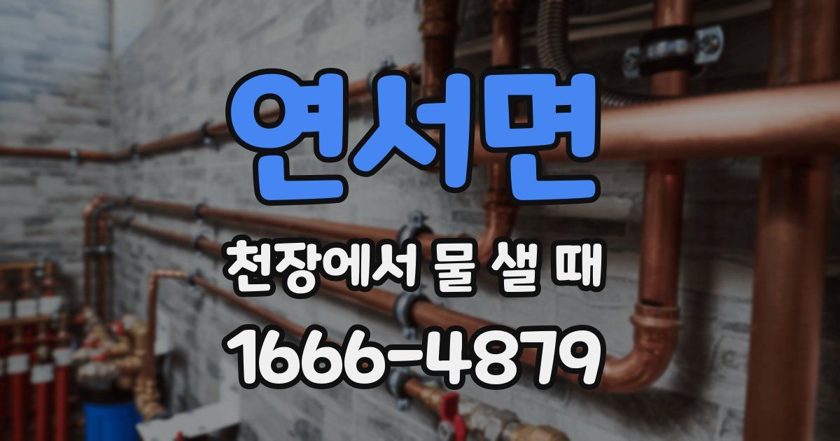 연서면 천장에서 물 샐 때