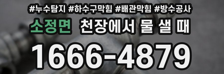 소정면 천장에서 물 샐 때