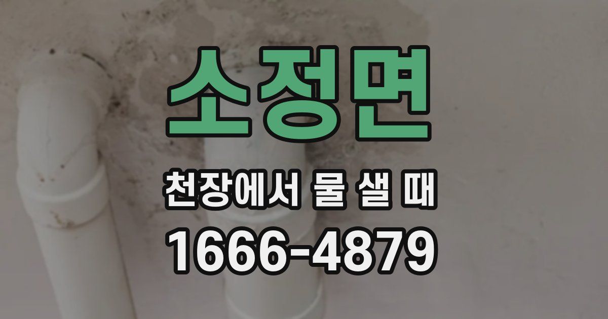 소정면 천장에서 물 샐 때