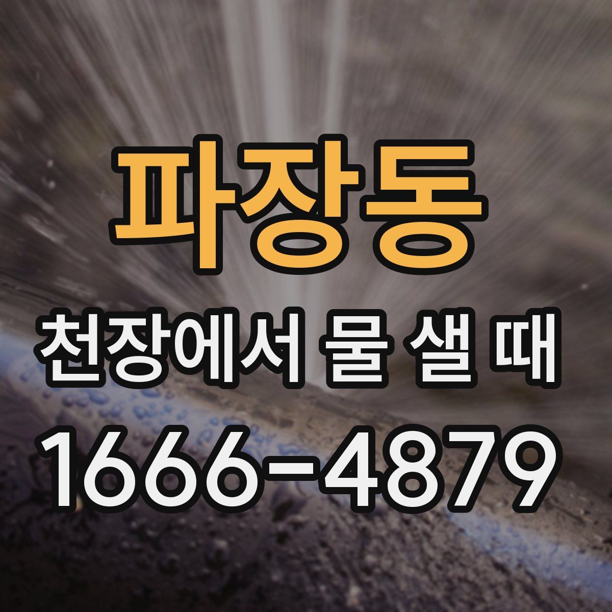 파장동 천장에서 물 샐 때
