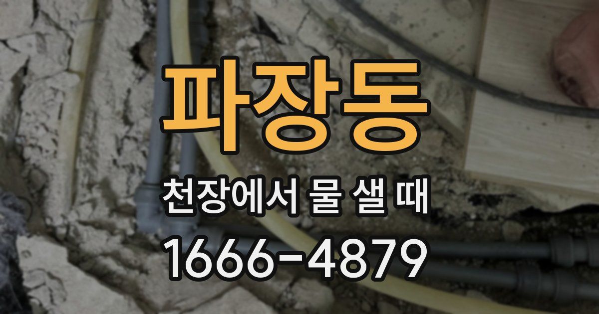 파장동 천장에서 물 샐 때