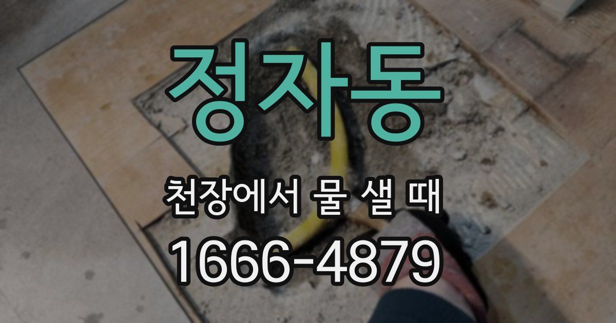정자동 천장에서 물 샐 때