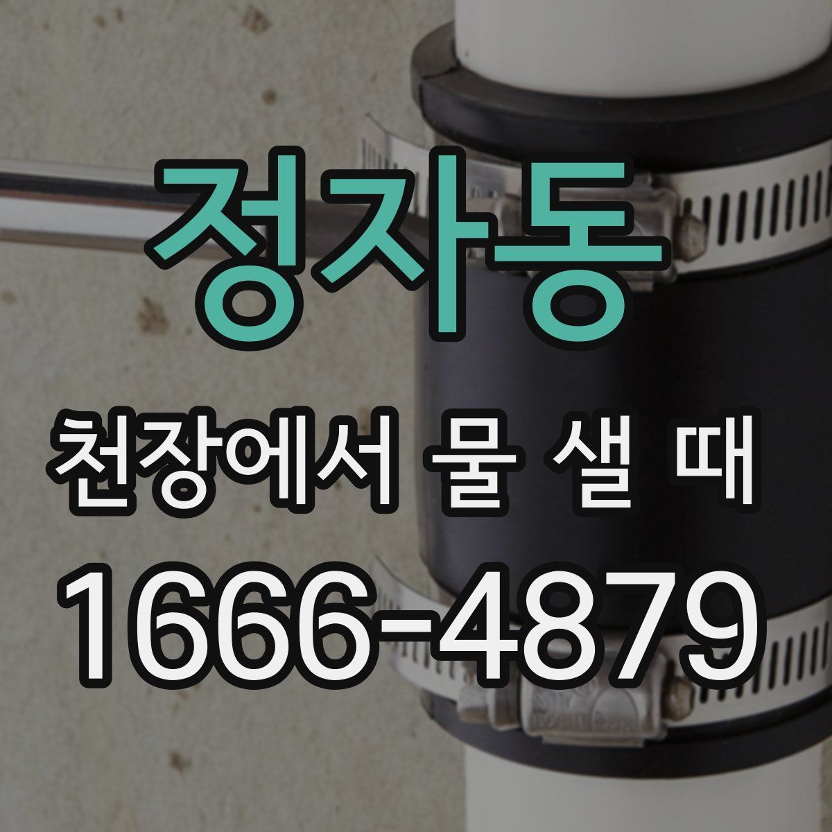 정자동 천장에서 물 샐 때