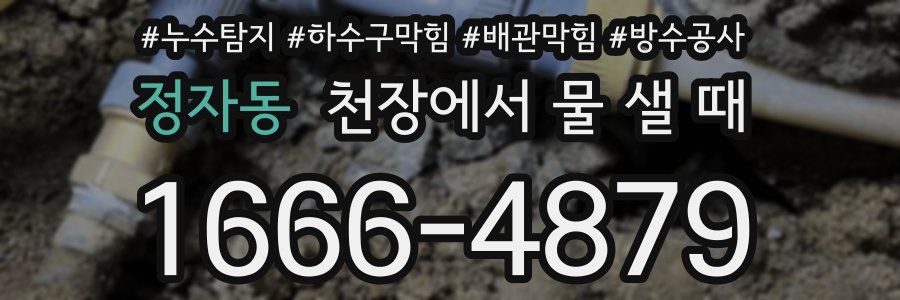 정자동 천장에서 물 샐 때