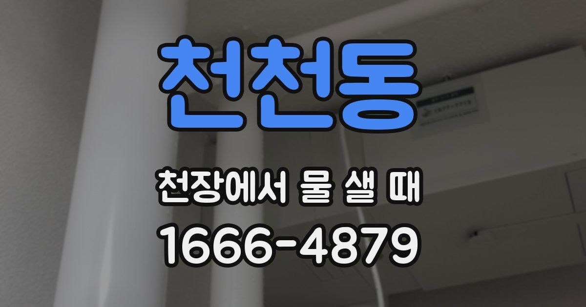 천천동 천장에서 물 샐 때
