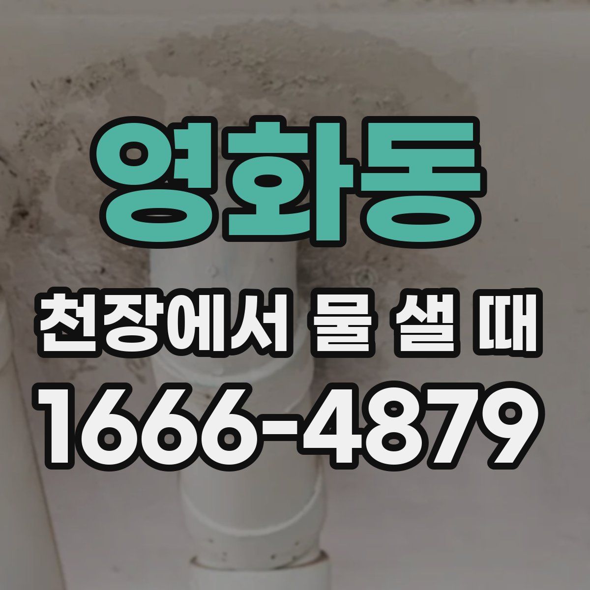 영화동 천장에서 물 샐 때