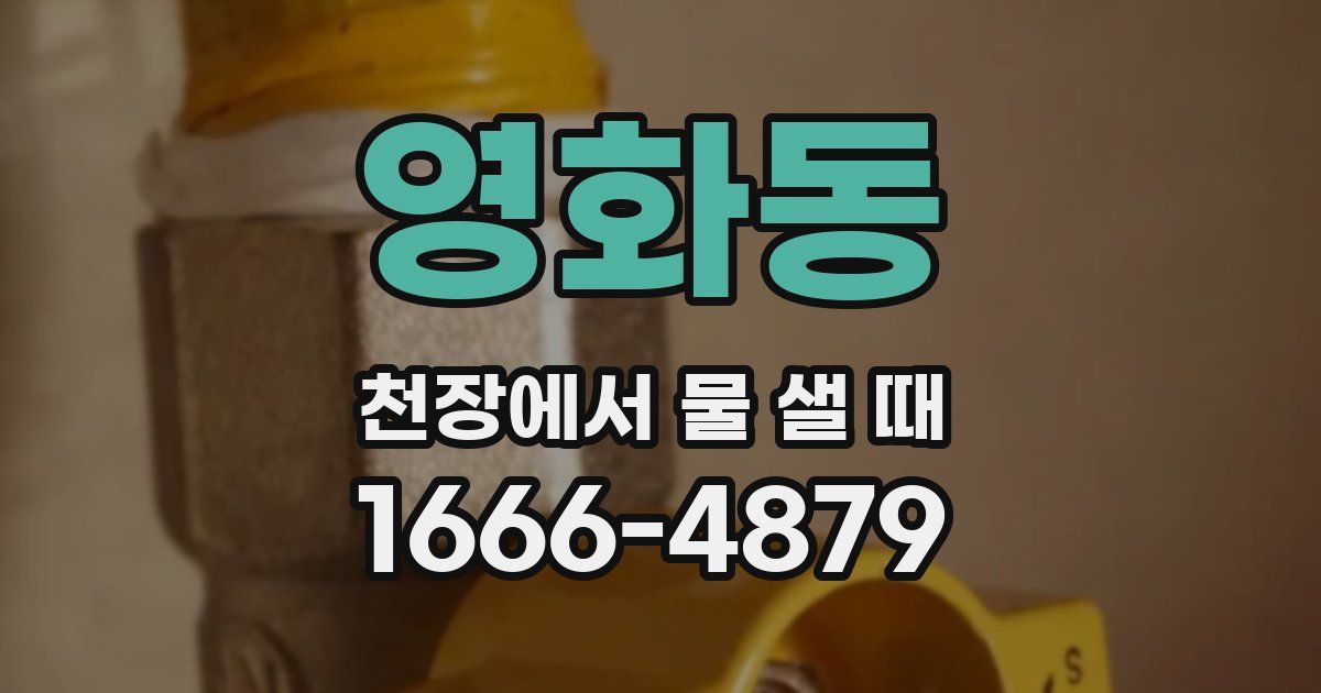 영화동 천장에서 물 샐 때