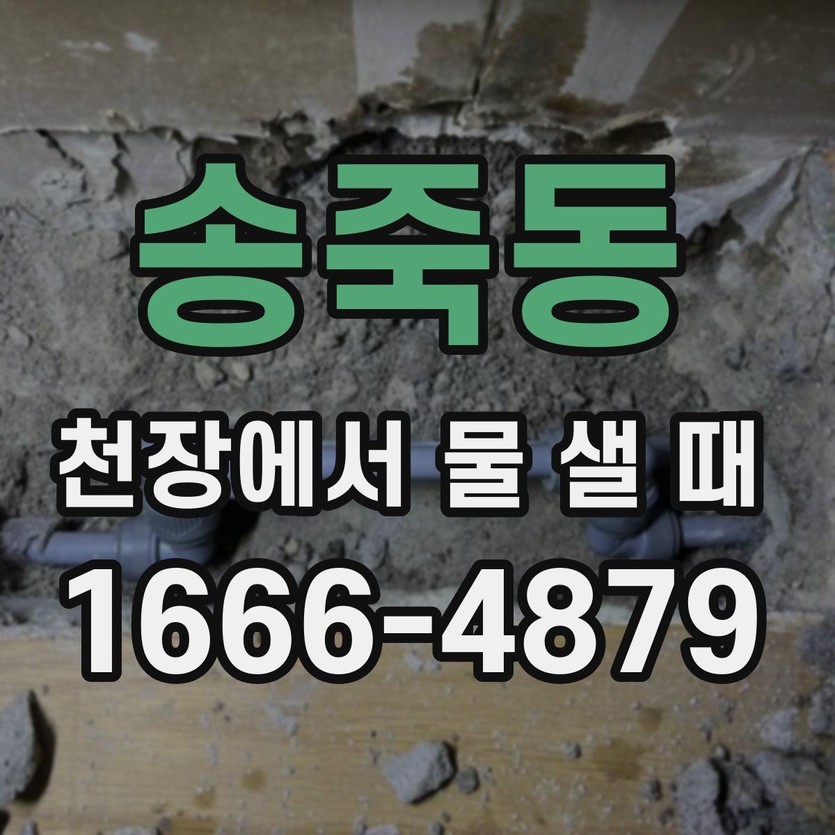 송죽동 천장에서 물 샐 때