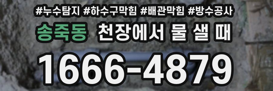 송죽동 천장에서 물 샐 때