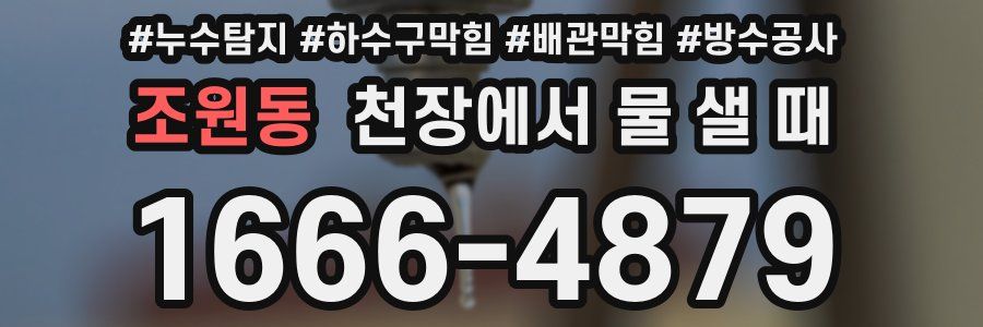 조원동 천장에서 물 샐 때