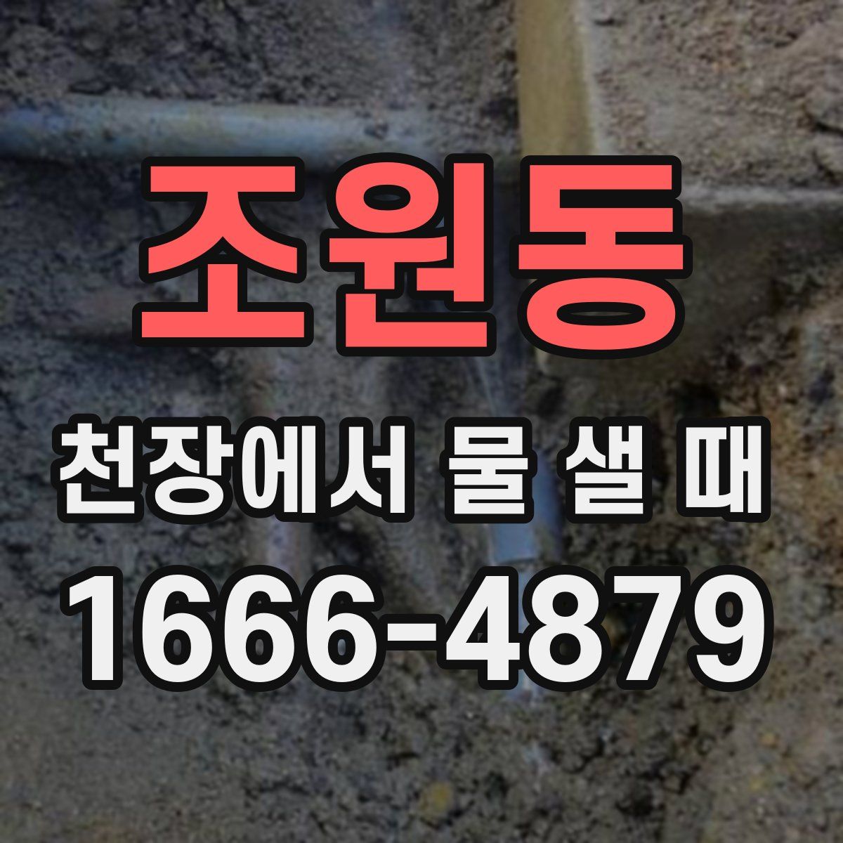 조원동 천장에서 물 샐 때