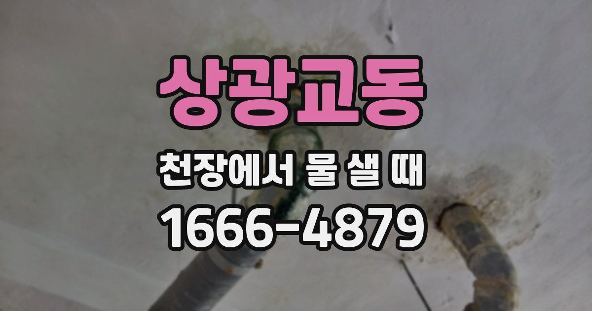 상광교동 천장에서 물 샐 때