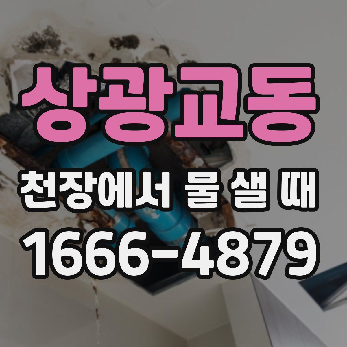 상광교동 천장에서 물 샐 때