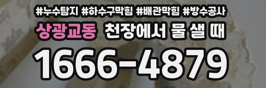 상광교동 천장에서 물 샐 때