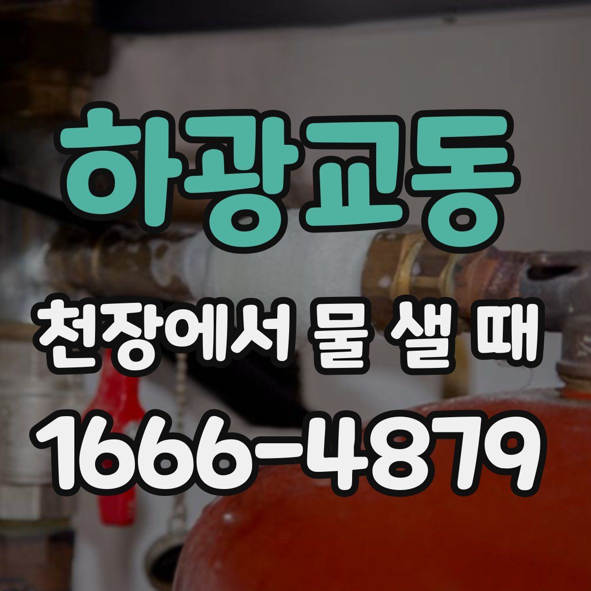 하광교동 천장에서 물 샐 때