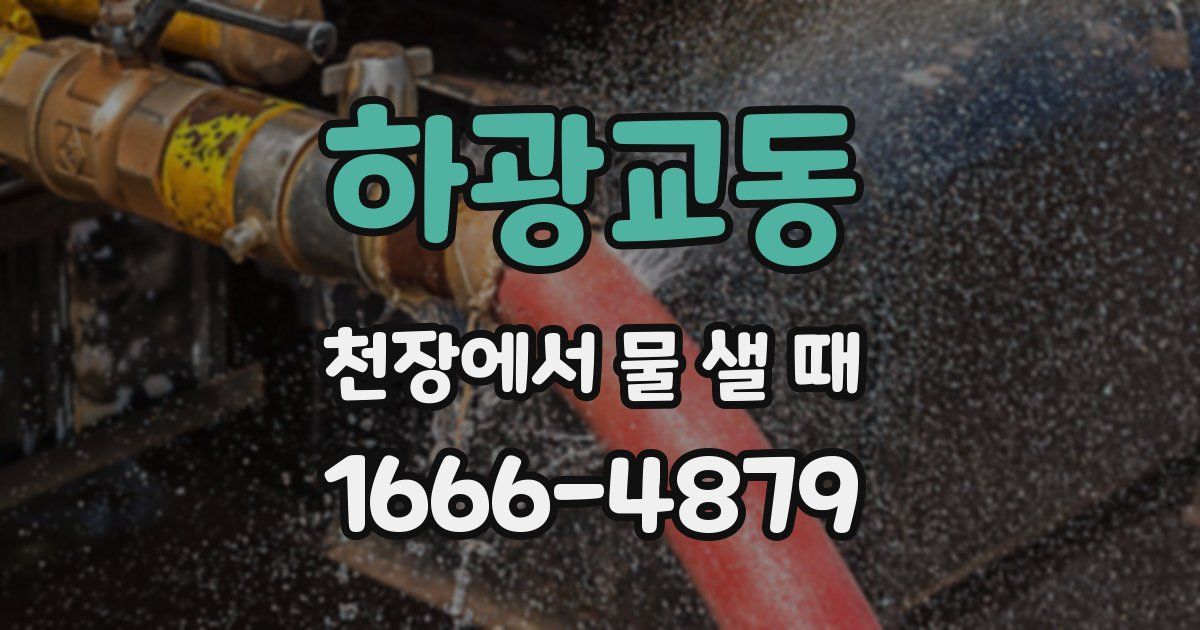 하광교동 천장에서 물 샐 때