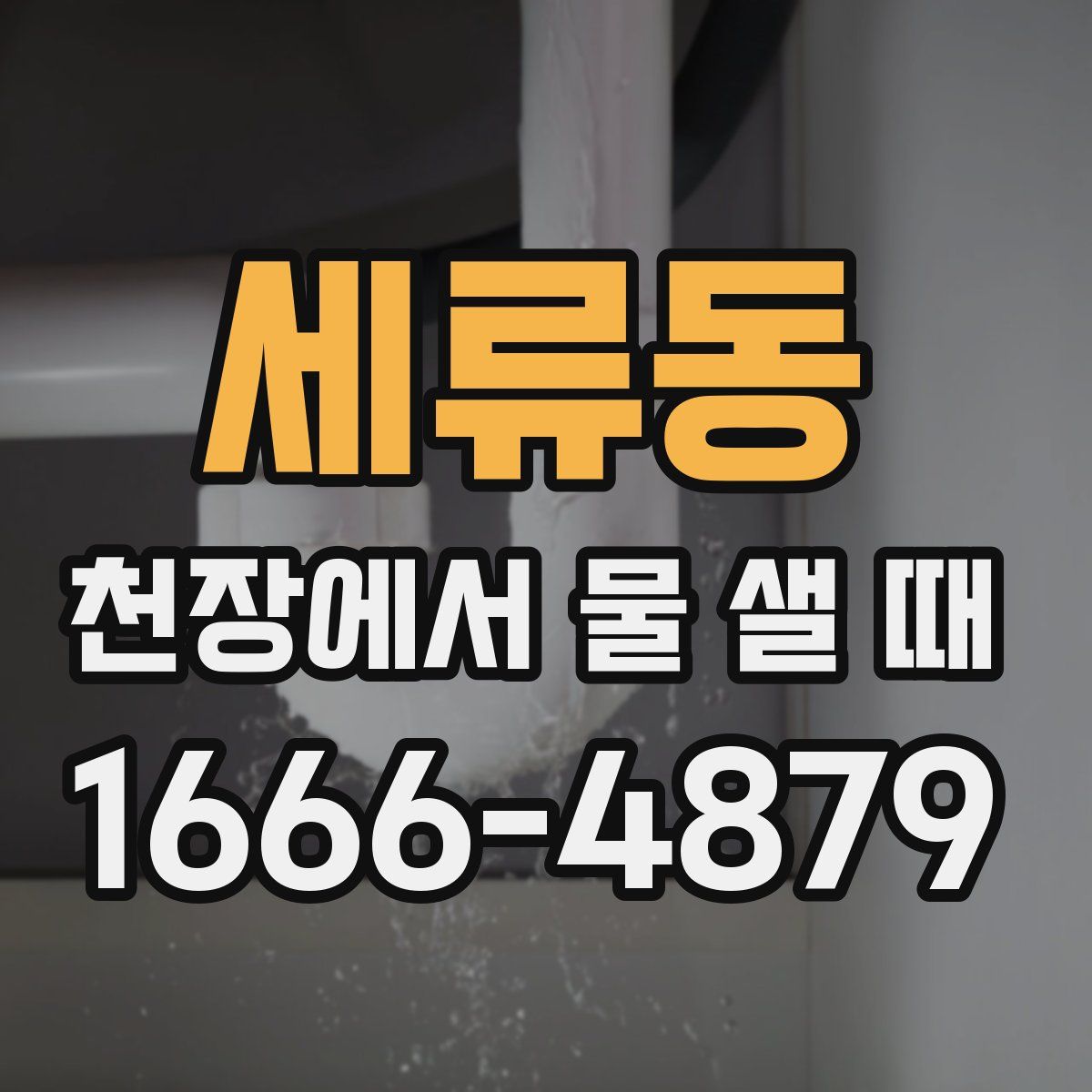 세류동 천장에서 물 샐 때