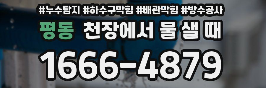 평동 천장에서 물 샐 때