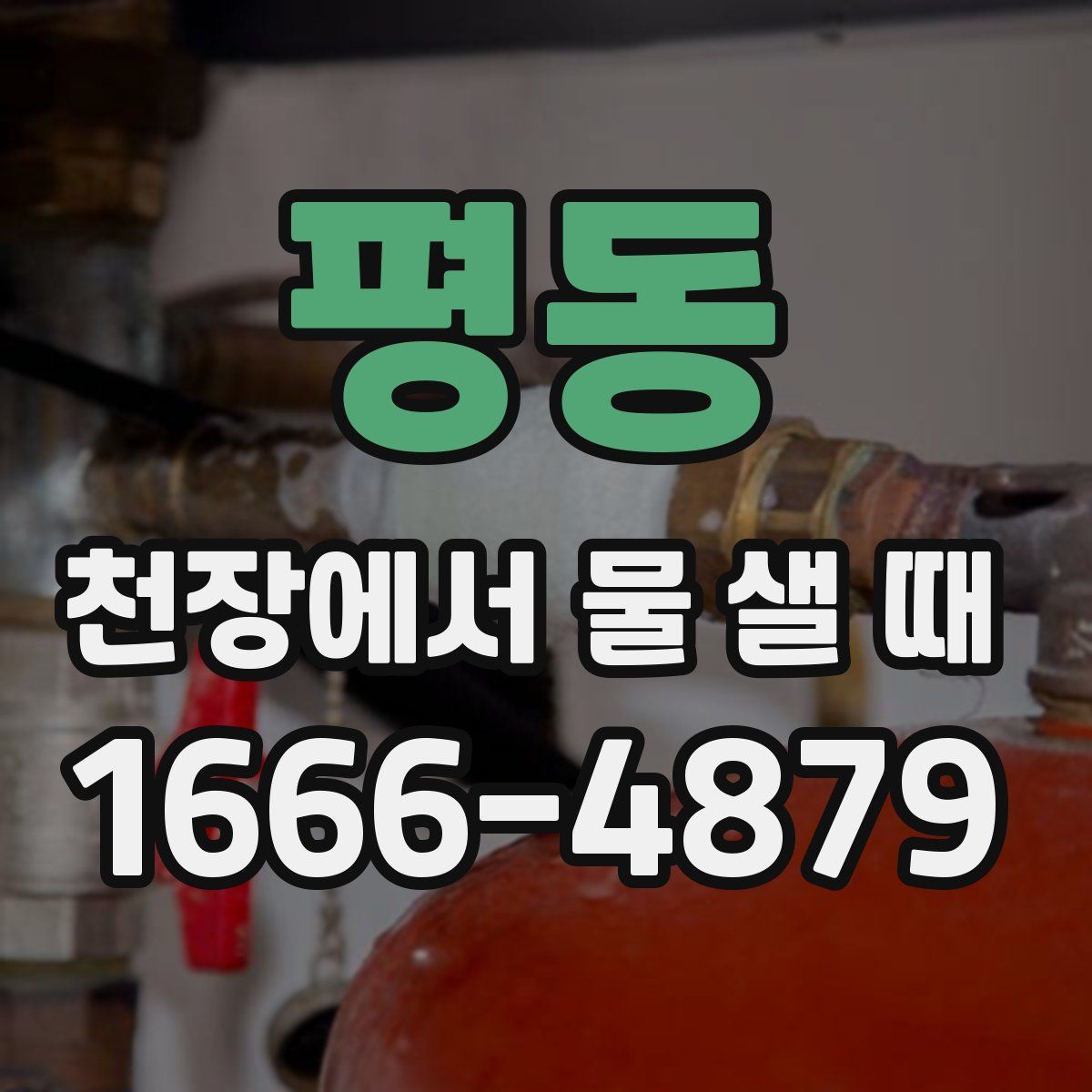 평동 천장에서 물 샐 때