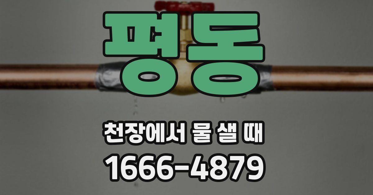 평동 천장에서 물 샐 때