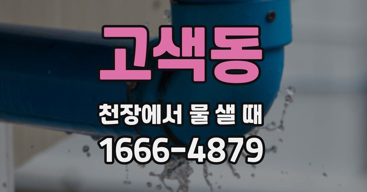 고색동 천장에서 물 샐 때