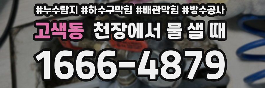 고색동 천장에서 물 샐 때