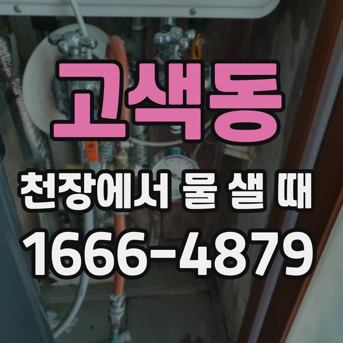 고색동 천장에서 물 샐 때