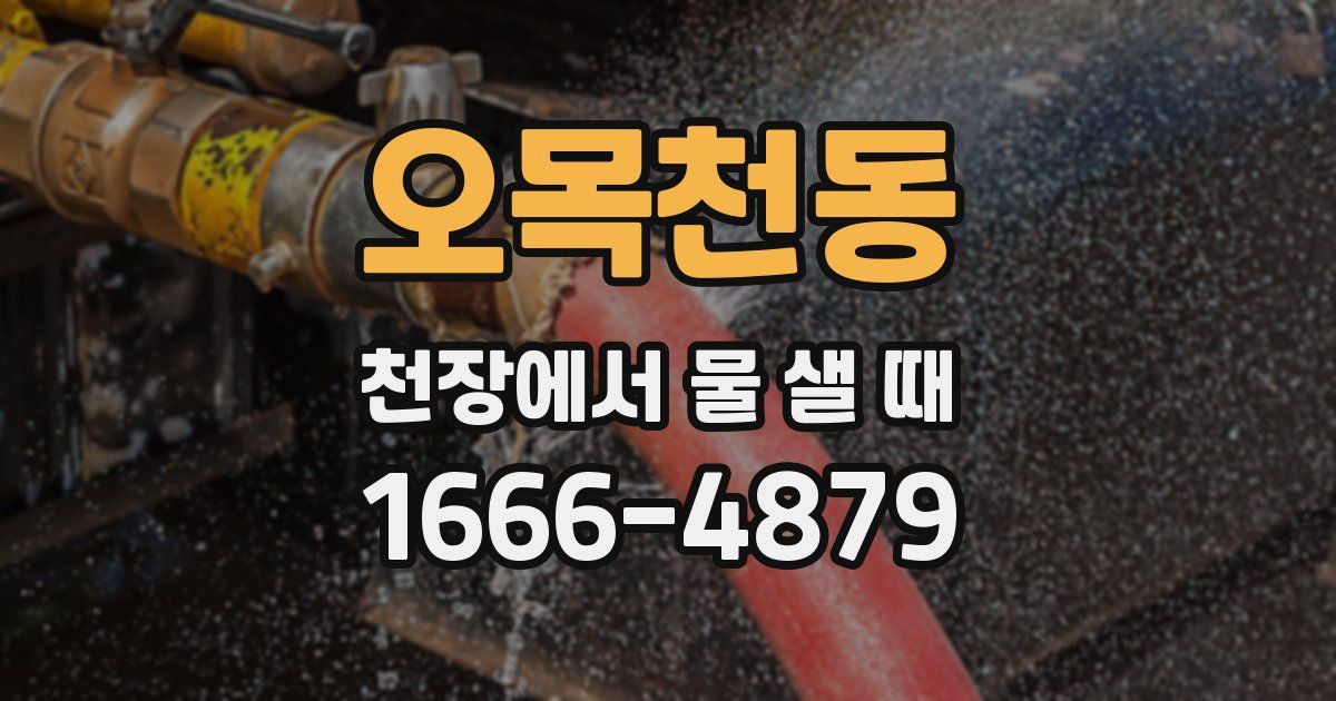 오목천동 천장에서 물 샐 때