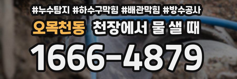 오목천동 천장에서 물 샐 때