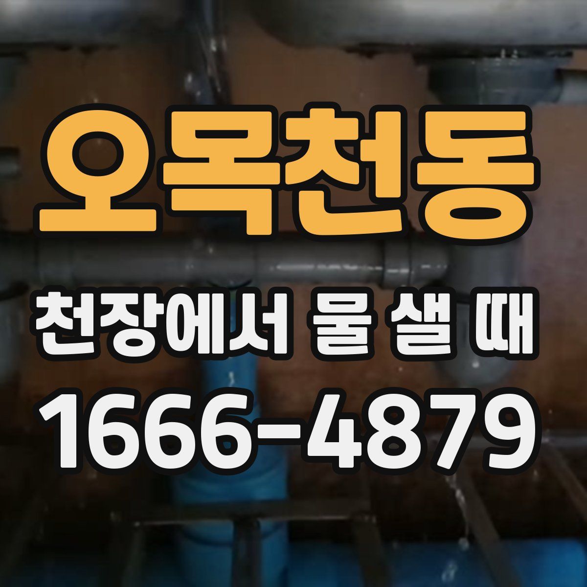 오목천동 천장에서 물 샐 때