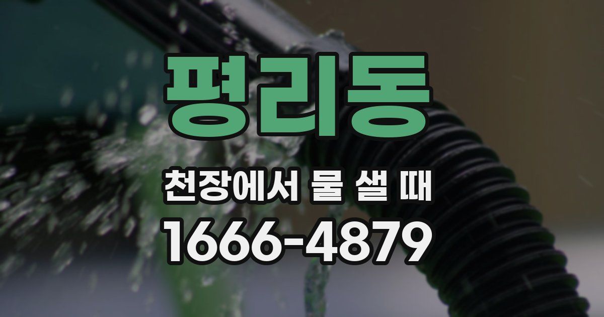 평리동 천장에서 물 샐 때