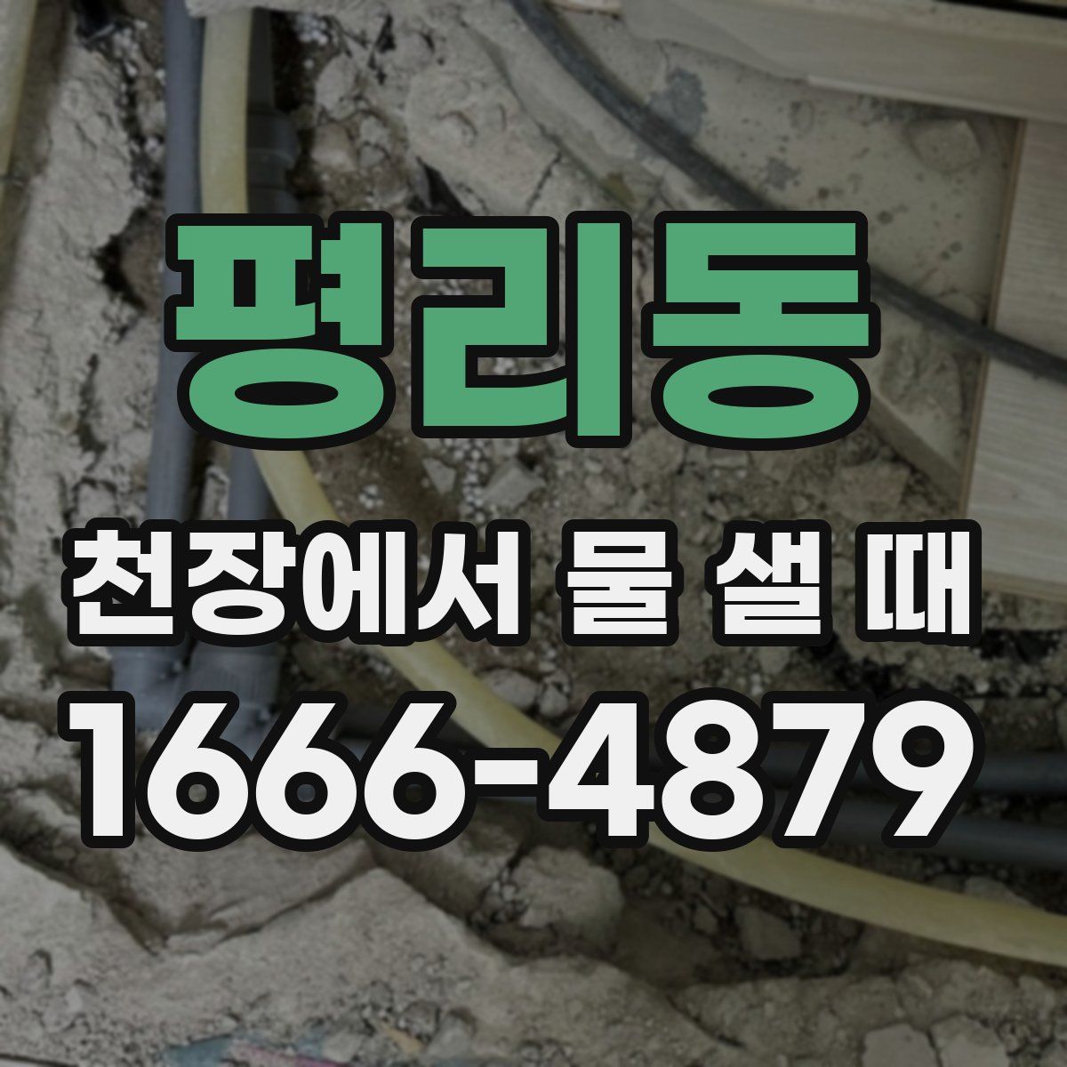평리동 천장에서 물 샐 때