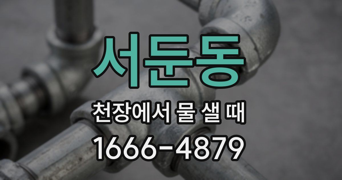서둔동 천장에서 물 샐 때