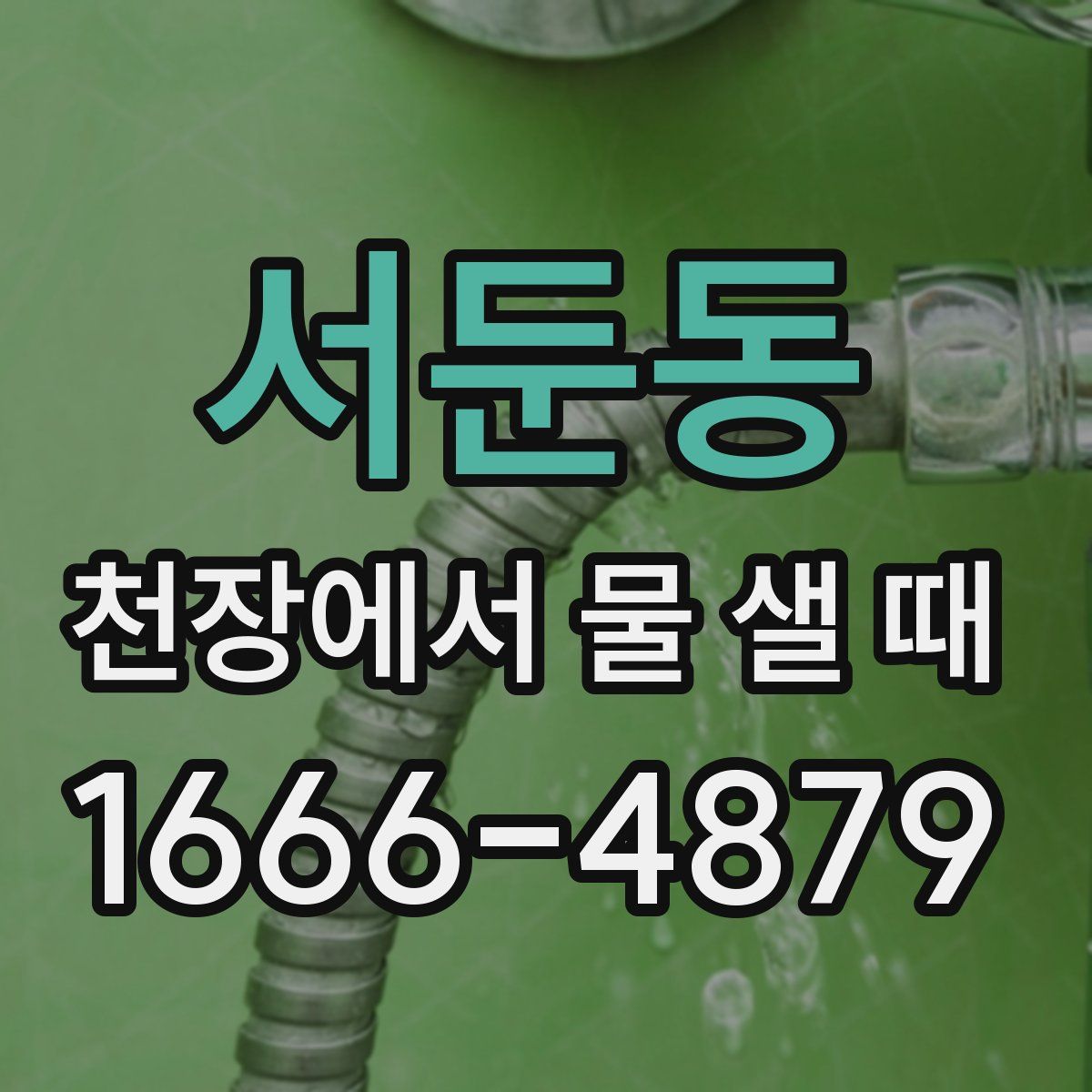 서둔동 천장에서 물 샐 때