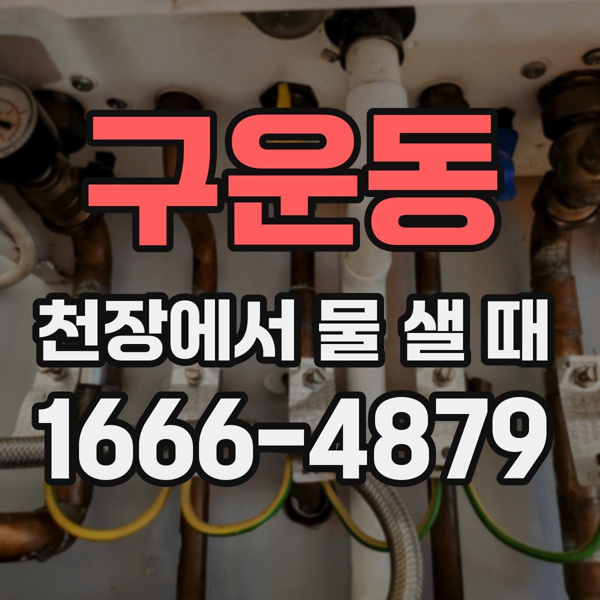 구운동 천장에서 물 샐 때