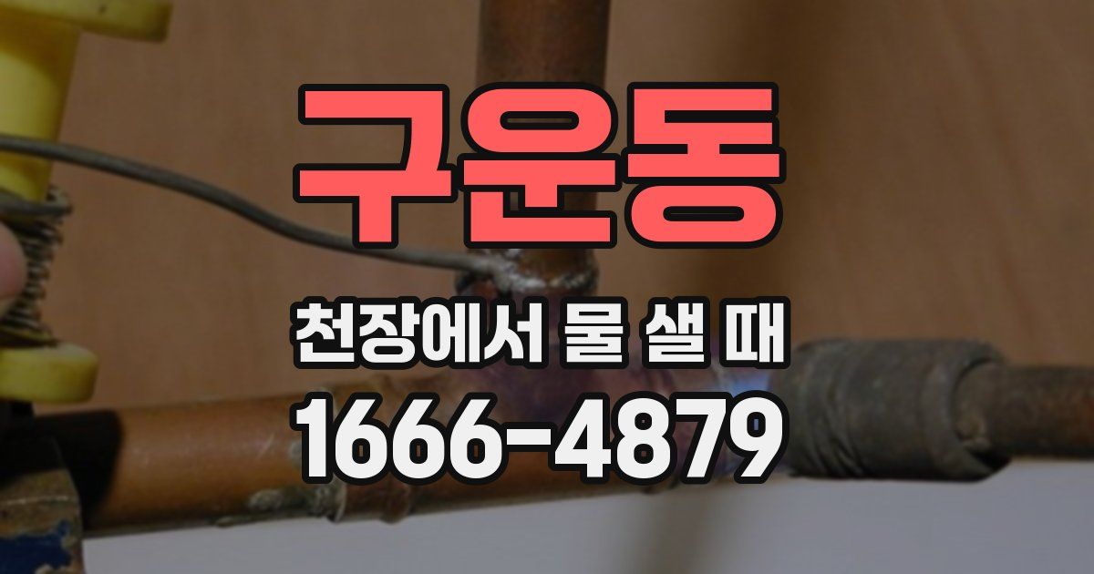 구운동 천장에서 물 샐 때