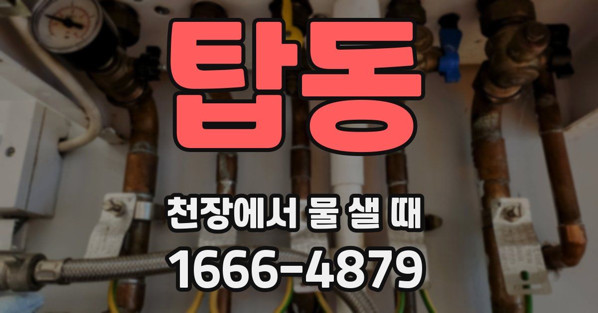 탑동 천장에서 물 샐 때