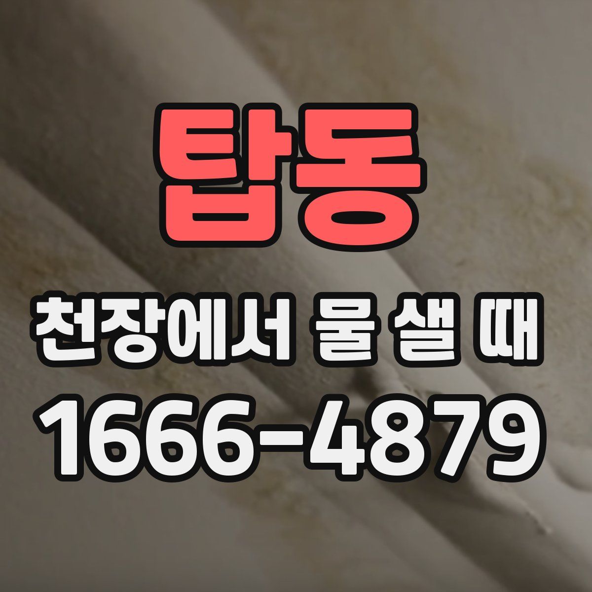 탑동 천장에서 물 샐 때