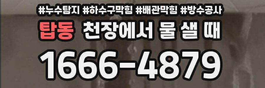 탑동 천장에서 물 샐 때