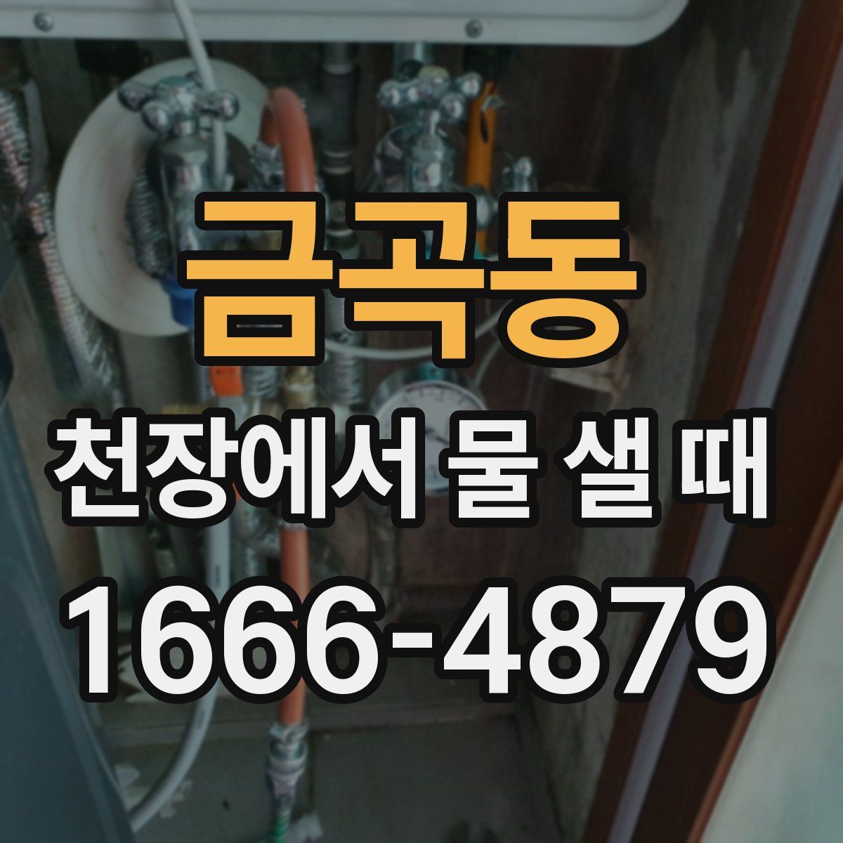 금곡동 천장에서 물 샐 때