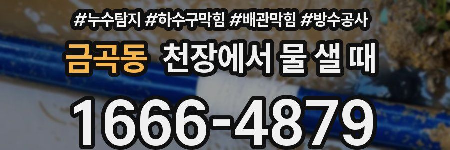 금곡동 천장에서 물 샐 때