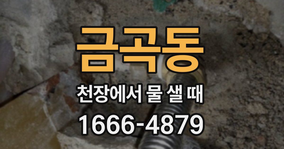 금곡동 천장에서 물 샐 때