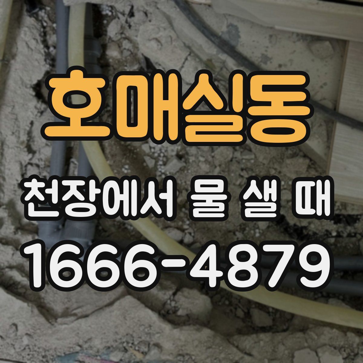호매실동 천장에서 물 샐 때