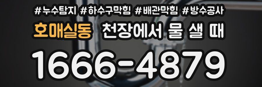 호매실동 천장에서 물 샐 때