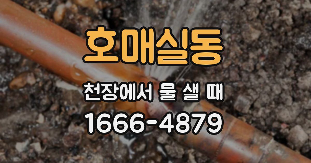 호매실동 천장에서 물 샐 때