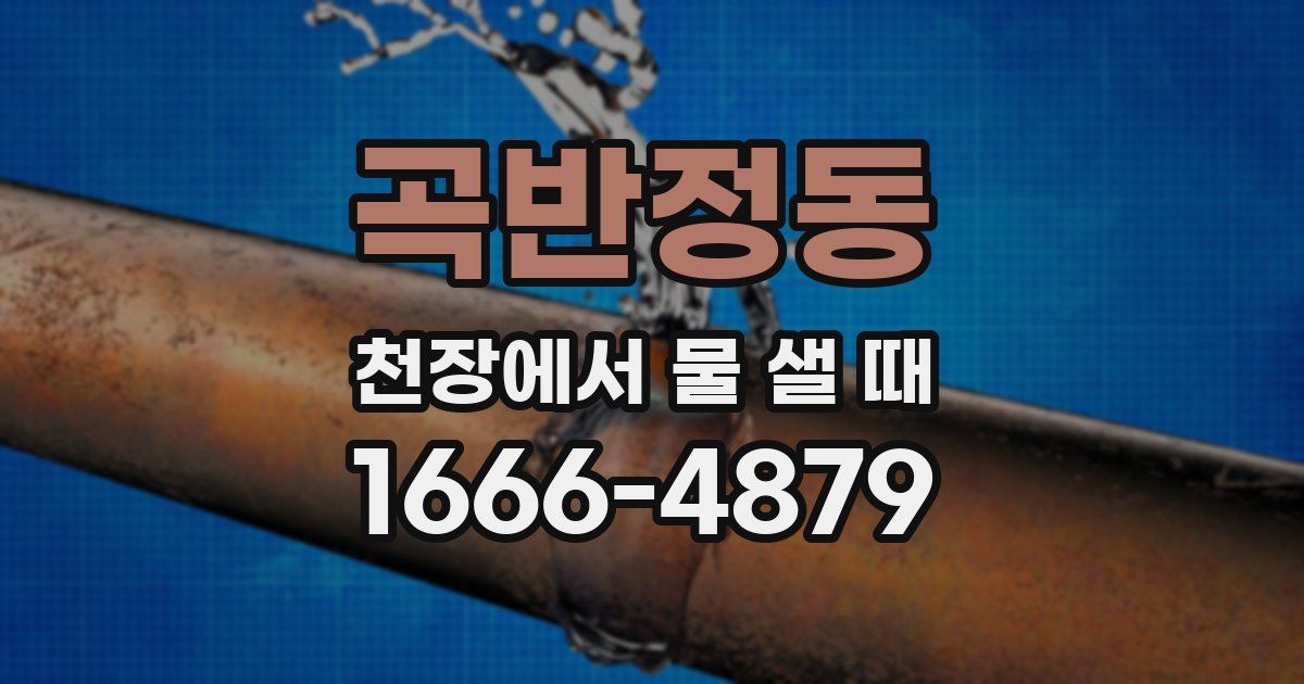 곡반정동 천장에서 물 샐 때