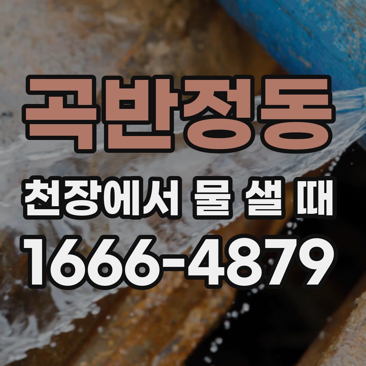 곡반정동 천장에서 물 샐 때
