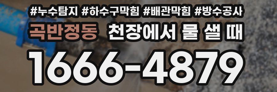 곡반정동 천장에서 물 샐 때